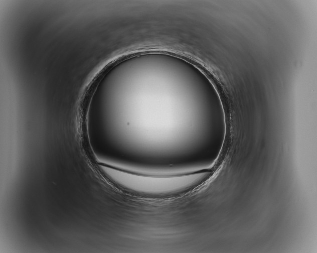 X0000100311502200806051445