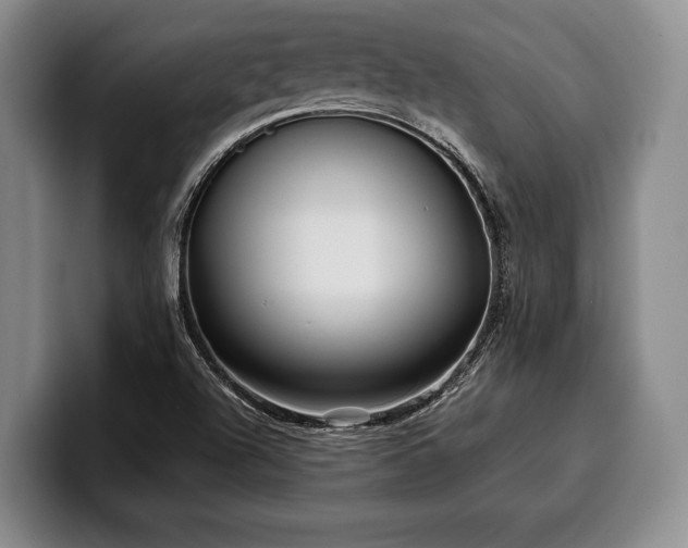 X0000100311504200806051445