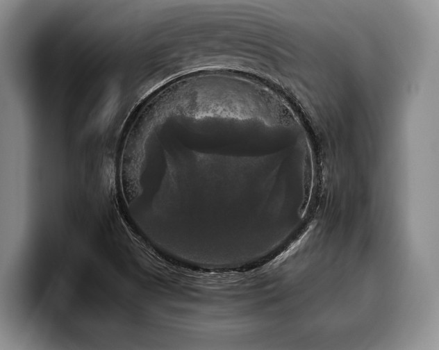 X0000100311505200806051445
