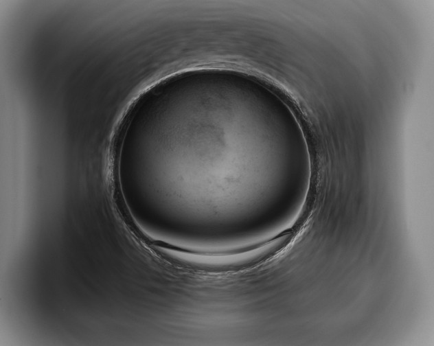 X0000100311506200806051445