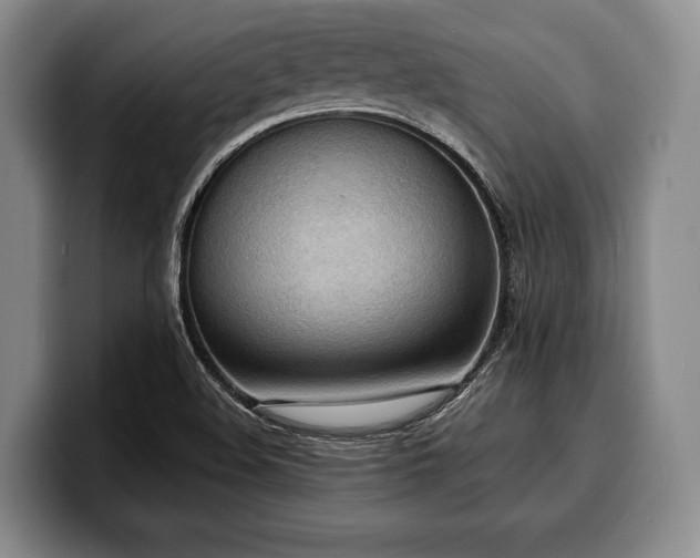 X0000100311508200806051445