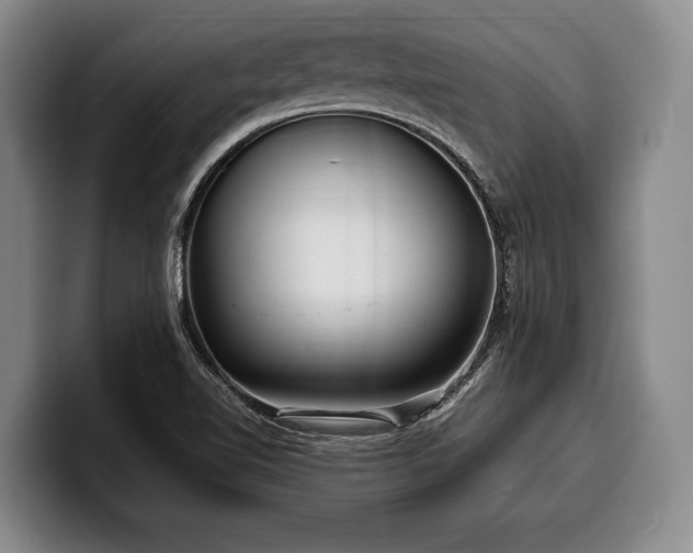 X0000100311510200806051445