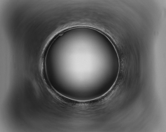 X0000100311511200806051445