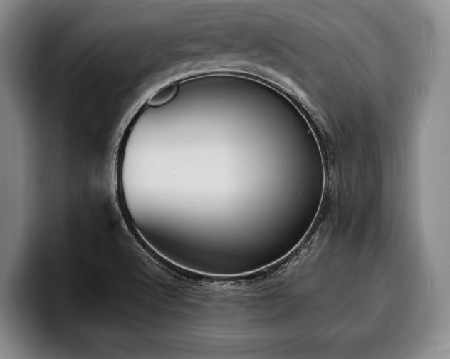 X0000100311512200806051445