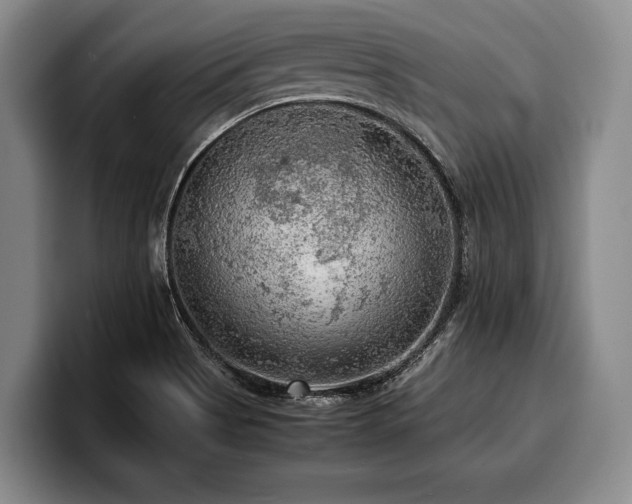 X0000100311513200806051445