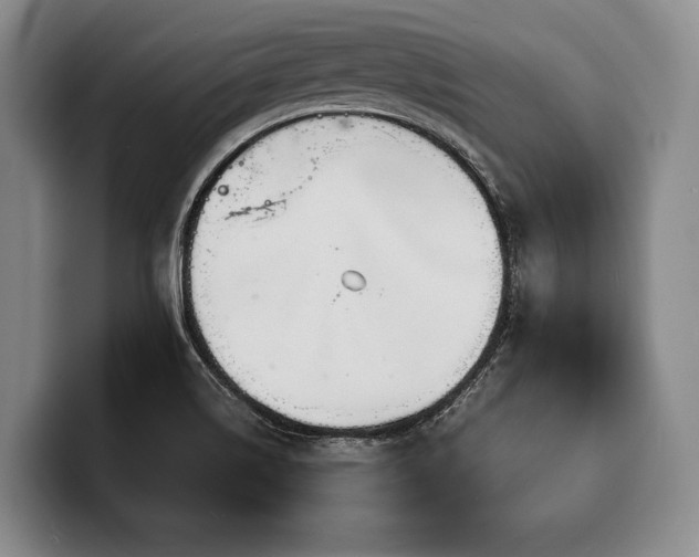 X0000100311514200806051445