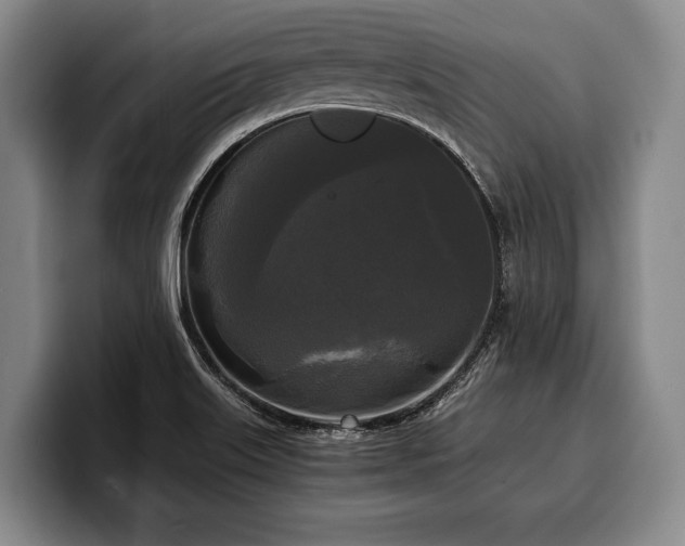 X0000100311515200806051445