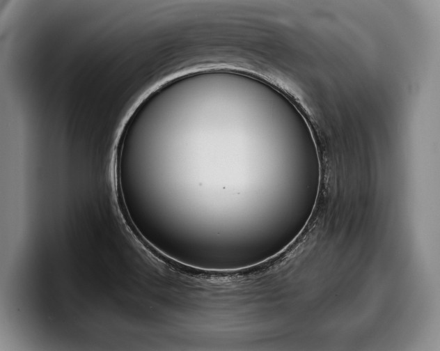 X0000100311516200806051445