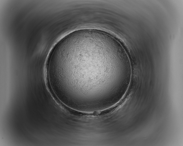 X0000100311517200806051445