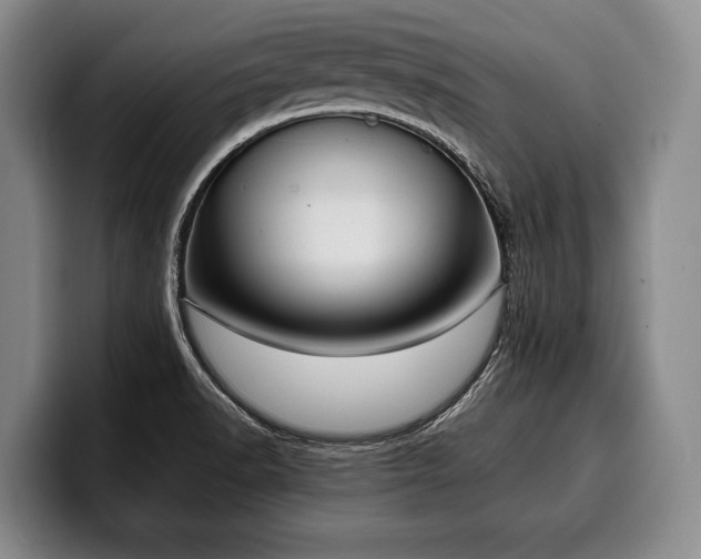 X0000100311518200806051445