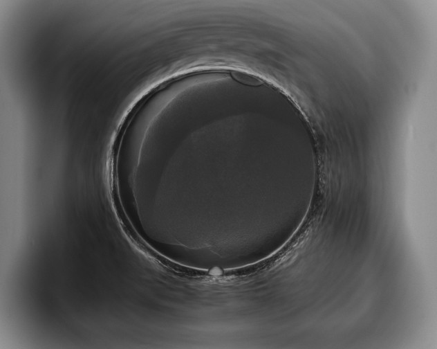 X0000100311519200806051445