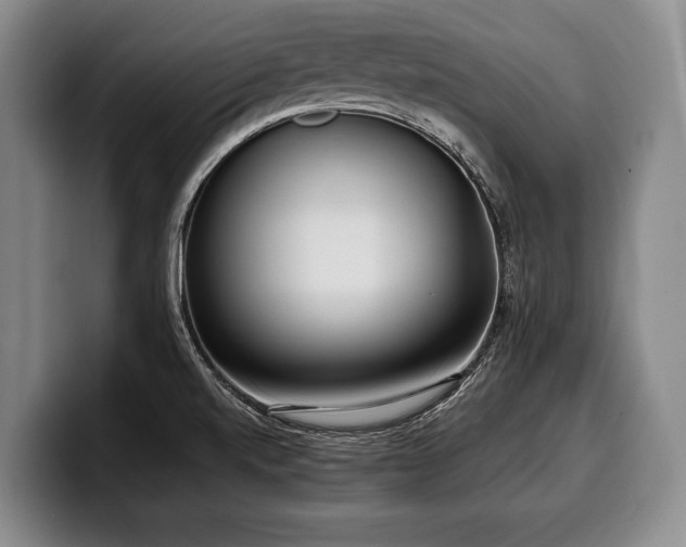 X0000100311520200806051445