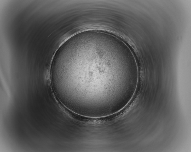 X0000100311521200806051445