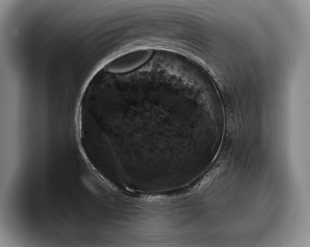 X0000100311522200806051445