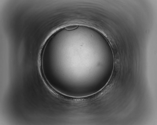 X0000100311523200806051445