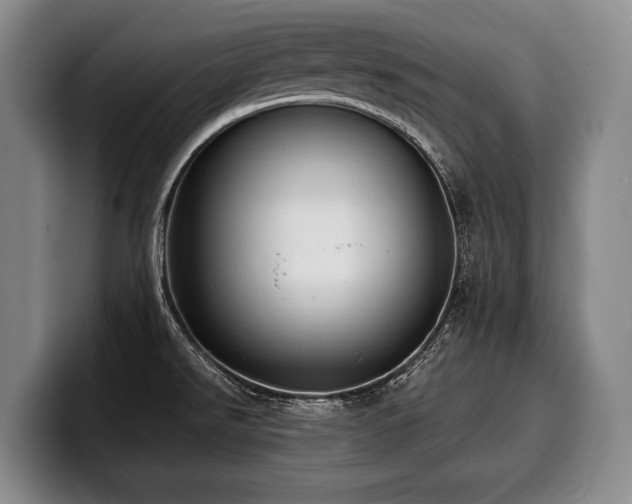 X0000100311526200806051445