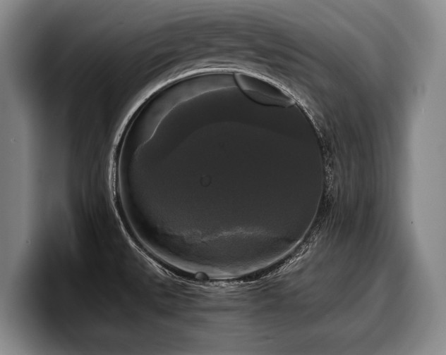 X0000100311527200806051445