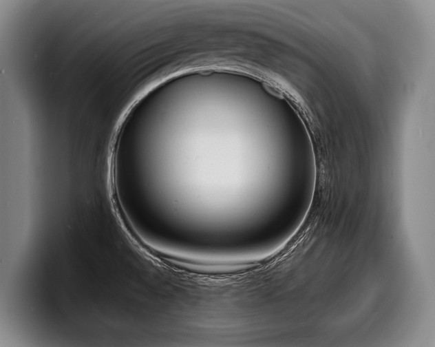 X0000100311528200806051445