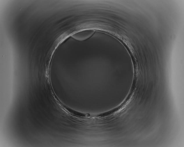 X0000100311529200806051445