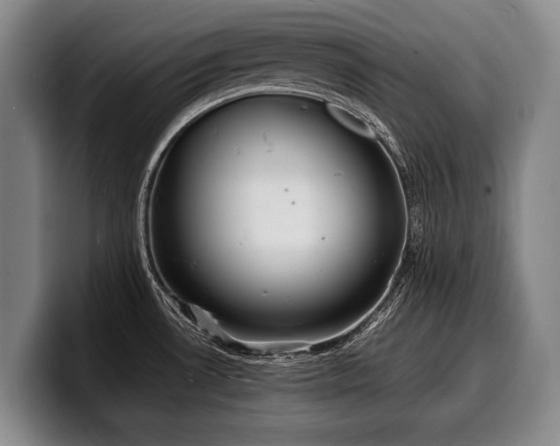 X0000100311530200806051445
