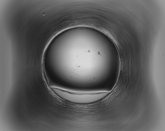 X0000100311532200806051445