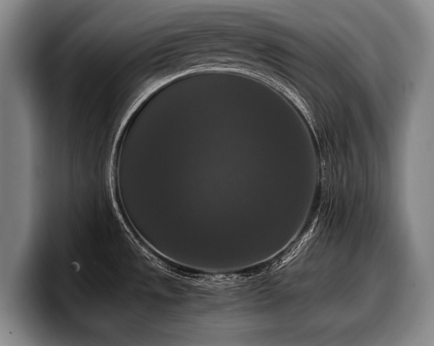 X0000100311533200806051445