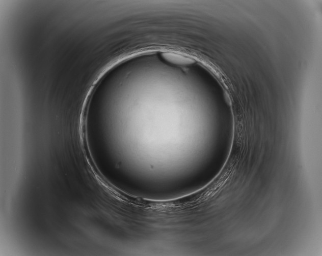 X0000100311535200806051445