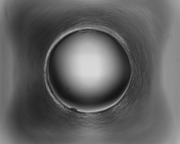 X0000100311536200806051445