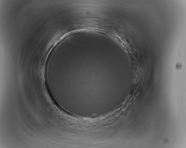 X0000100310002200806121051
