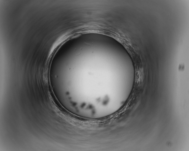 X0000100310004200806121051
