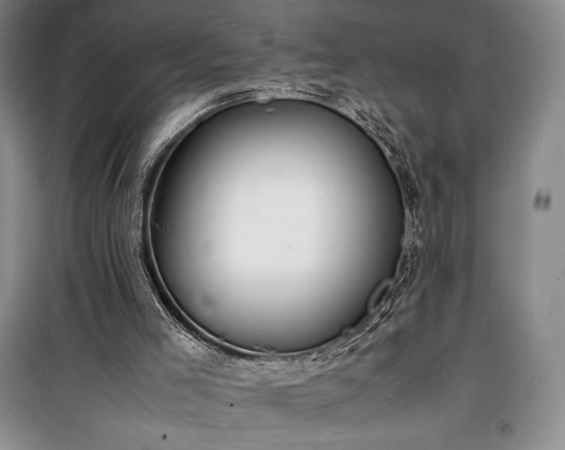X0000100310005200806121051
