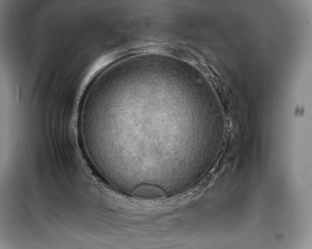 X0000100310006200806121051