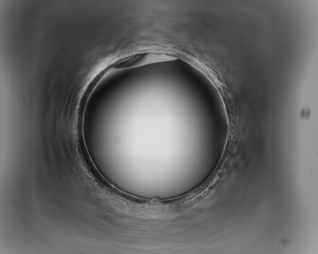 X0000100310008200806121051