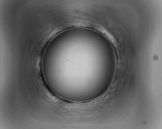 X0000100310009200806121051
