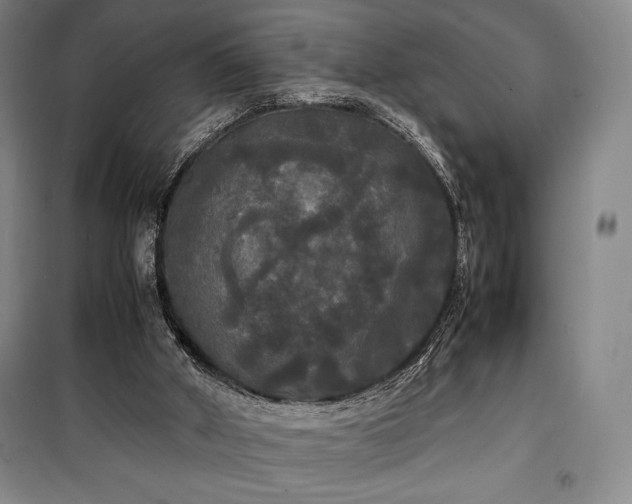 X0000100310010200806121051