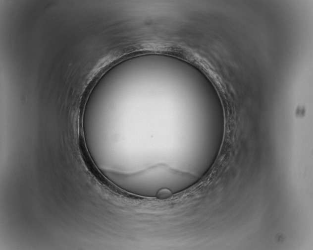 X0000100310011200806121051