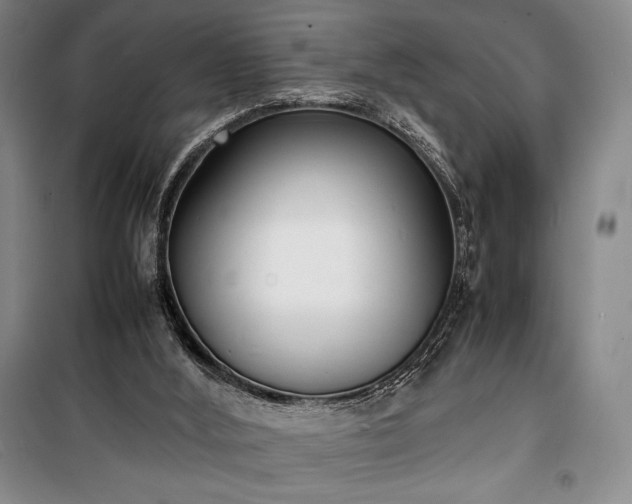 X0000100310012200806121051