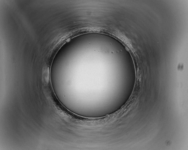 X0000100310013200806121051