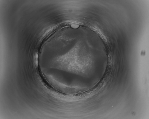 X0000100310014200806121051