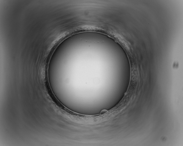 X0000100310015200806121051