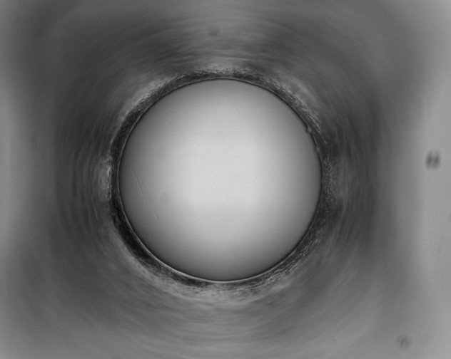 X0000100310016200806121051