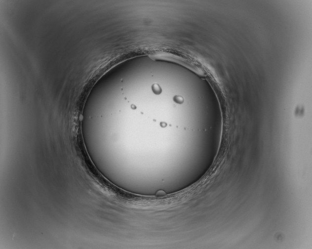 X0000100310017200806121051