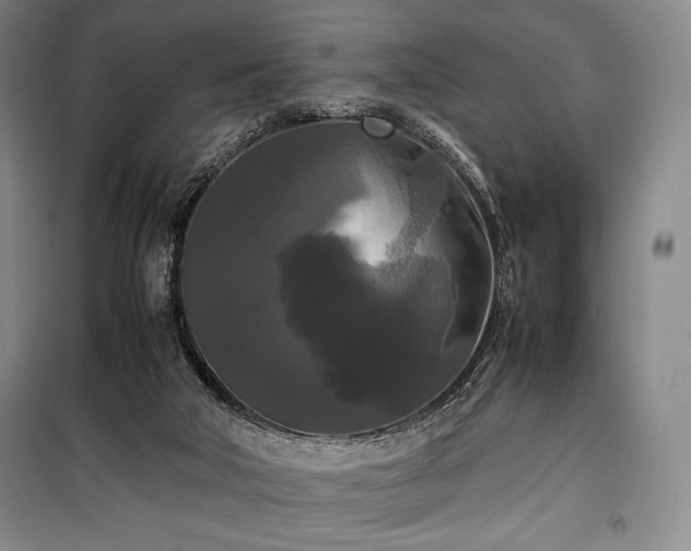X0000100310018200806121051