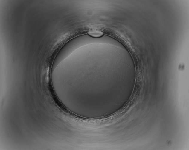 X0000100310019200806121051