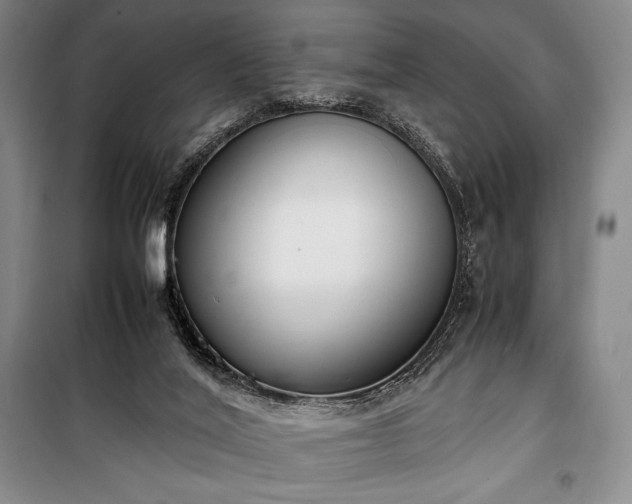 X0000100310020200806121051