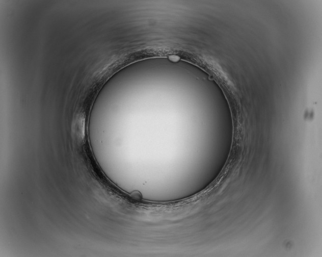 X0000100310021200806121051