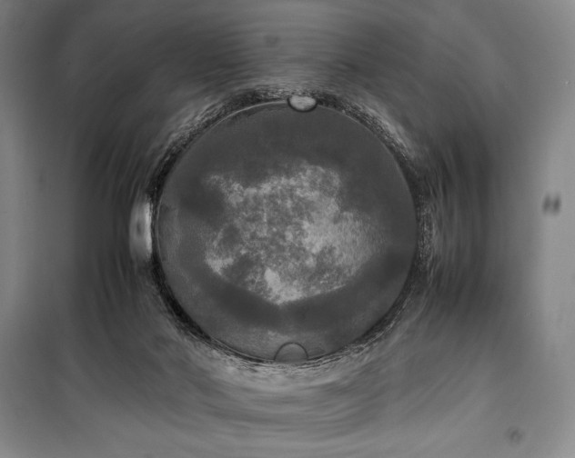 X0000100310022200806121051