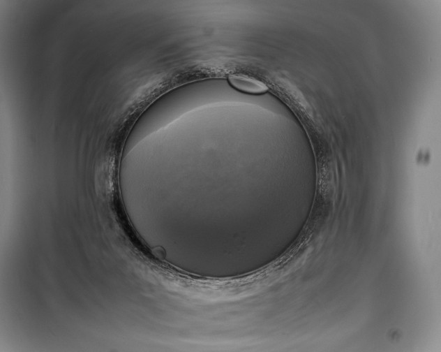 X0000100310023200806121051