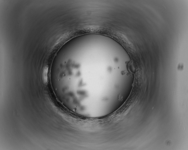 X0000100310024200806121051
