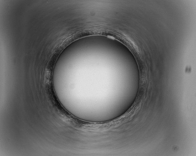 X0000100310025200806121051